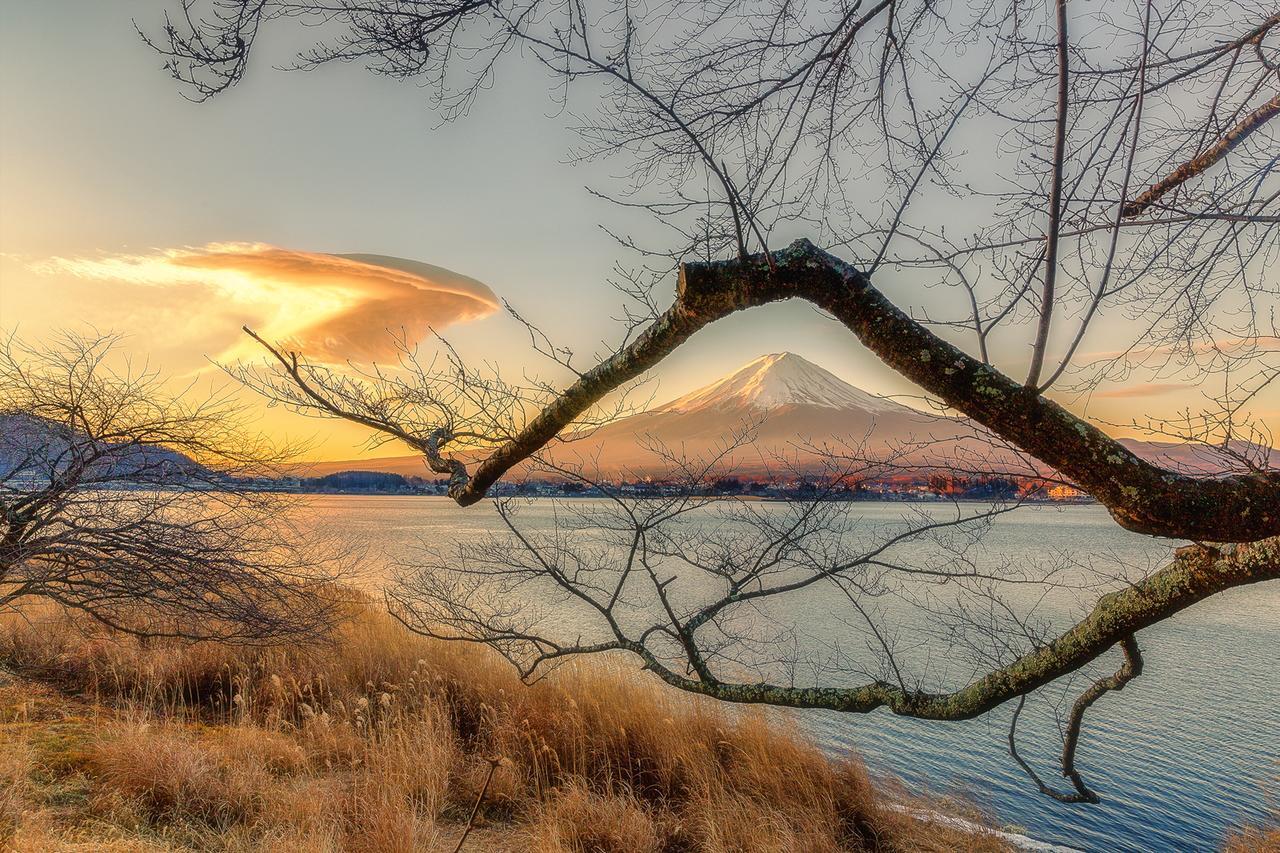Yamabiko Lake Saiko ฟูจิคาวากุจิโกะ ภายนอก รูปภาพ